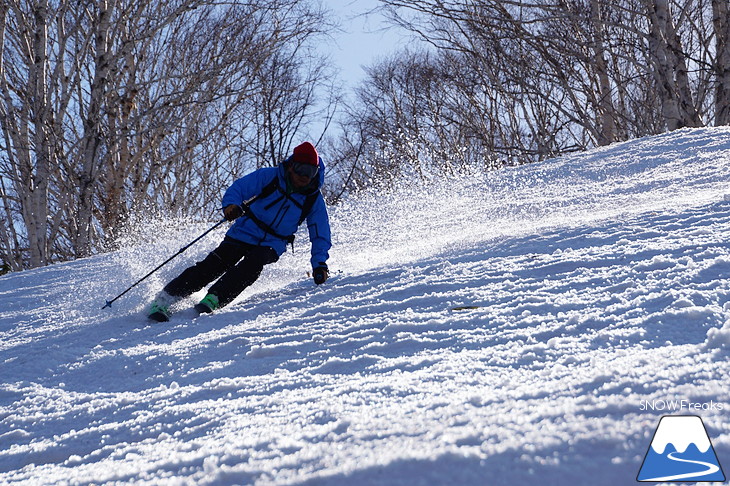 DYNASTAR SKI series Test Ride Days 2017 in ニセコユナイテッド【Day.2】～ニセコグラン・ヒラフ～